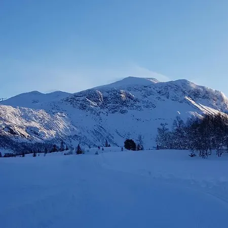 Dalhus - House With Jacuzzi *